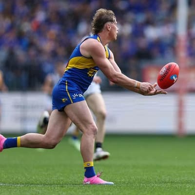 He's a tough bugger: Eagles praise wounded superstar