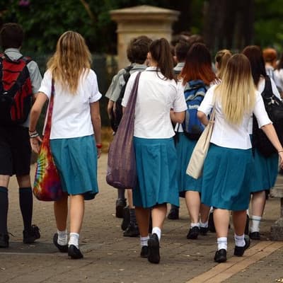 'Act now': assessment overhaul to curb AI in schools