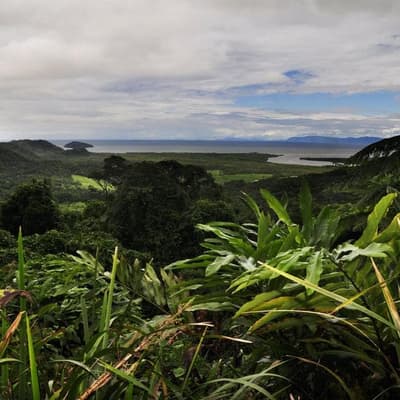 Widow reacts as zipline safety approach detailed