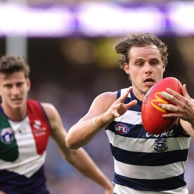 AFL brings in lawyers to decide Cats controversy