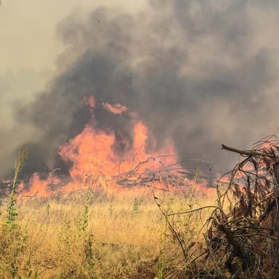 Scorched: rising natural disasters hit insurer's profit