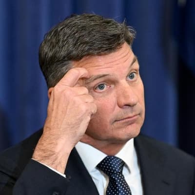 'Shakedown Angus' claim rejected in Libs donation probe