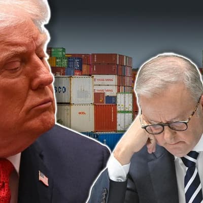 'As a friend': Albanese pushes Trump to axe tariffs