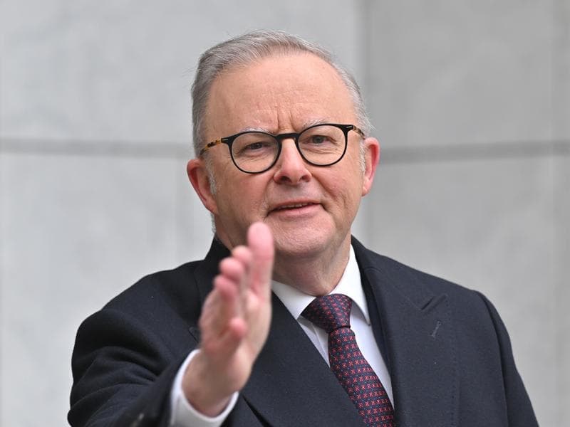 Albanese says his 'melons' hand gestures misinterpreted