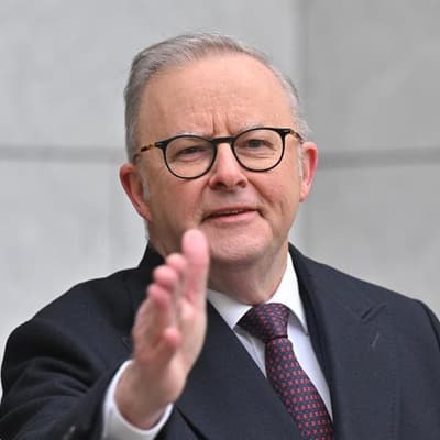 Albanese says his 'melons' hand gestures misinterpreted