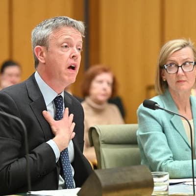 'I am so sorry': audit investigator's belated apology