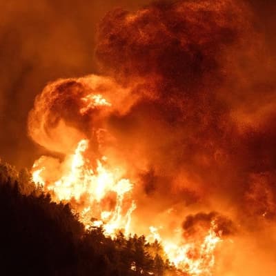 More evacuations as wildfires stretch across Europe