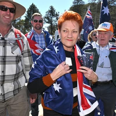 Minister slaps down Hanson's latest immigration call