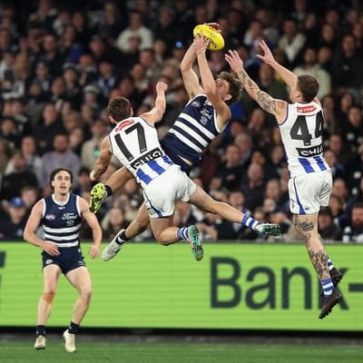 Cats survive North scare to keep top-four hopes alive