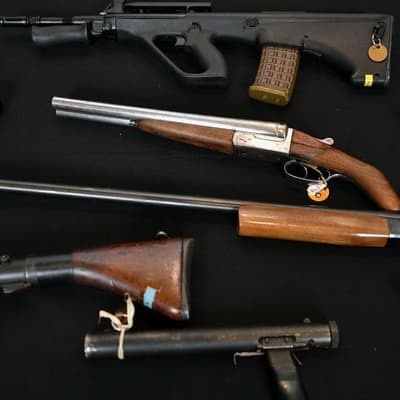 Beleaguered gun buyback costly, inaction costlier: PM