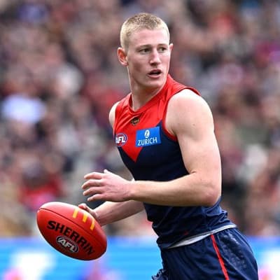 Demons forward banned ahead of AFL finals