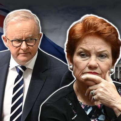 'Don't stuff it': Labor relishes One Nation super fight