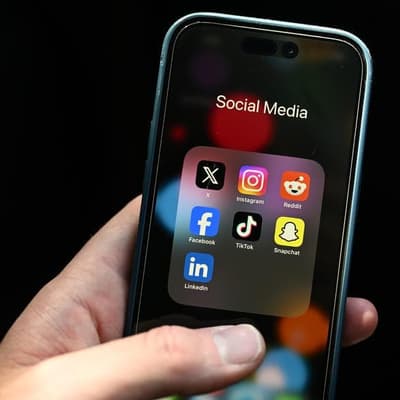 Address social media to counter anti-Semitism: inquiry