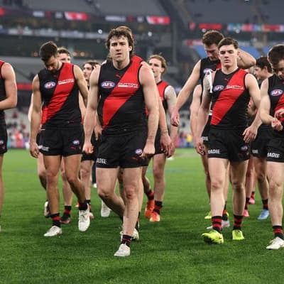 'Wade through the swamp': fans urged to back Bombers