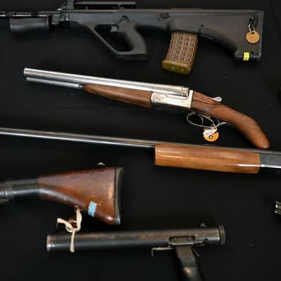 Another state shoots down funding national gun buyback