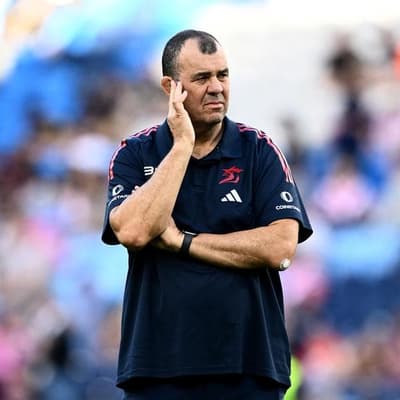 'World-class': Cheika set for Waratahs coaching return