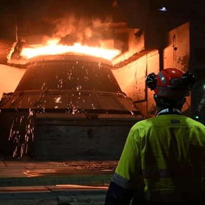 Steelmaker brings it home, after rejecting predators
