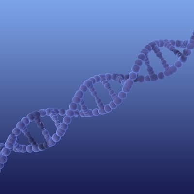 Teens accused of online ambush murder oppose DNA test