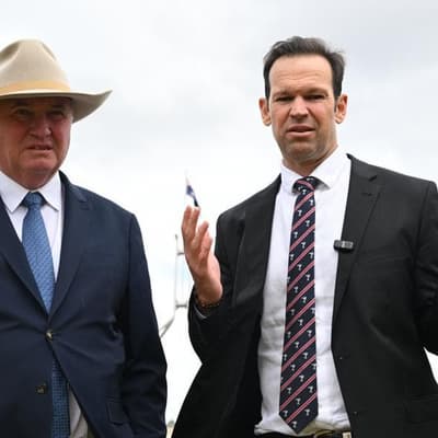 Coalition, One Nation revive push on abortion crackdown