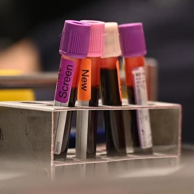 Blood plasma giant's share price revives on growth path