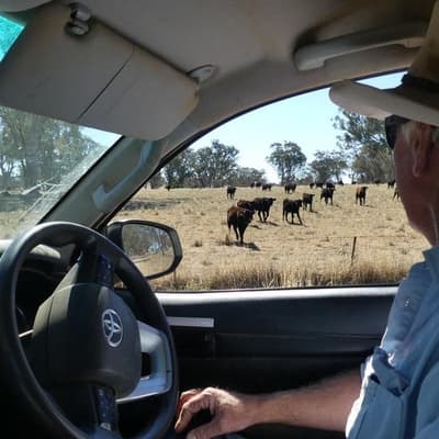 Labor seeks to boost fuel security from farming waste