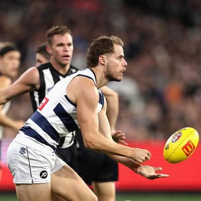 Cats coach coy on concussion controversy