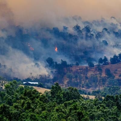 'Don't wait': hot, dry conditions raise bushfire risk
