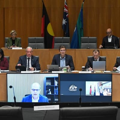 Political interference allegations by sect 'chilling'
