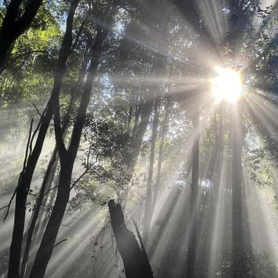 Environment rules promise protection but raise concerns