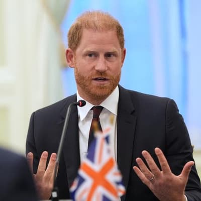 Harry, others face million pound bill over lost lawsuit