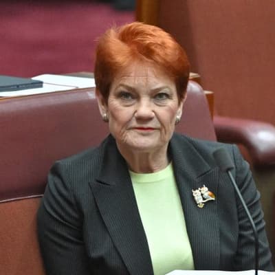 Hanson seeks to take free speech fight to High Court