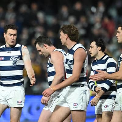 'Definitely': Cats bullish on making big AFL finals run