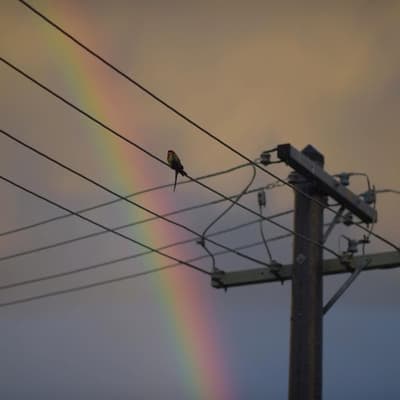Call to cut energy bill premium to ease cost of living