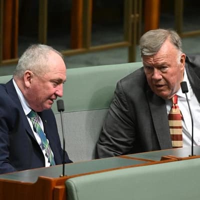 One Nation mops up migration policy amid new polling