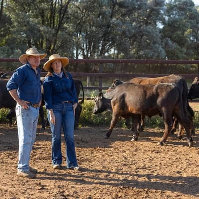 Family offers big reward to help lasso cattle rustlers