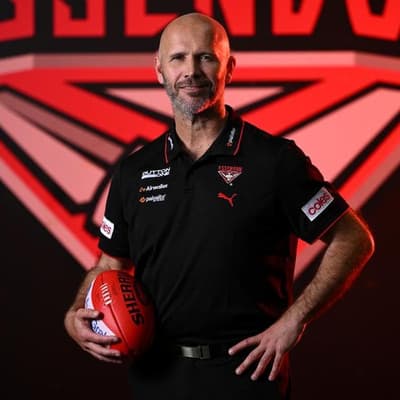 Essendon outline plan for Hird after head coach snub