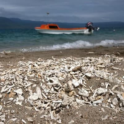 Ditching diesel could save Pacific nations almost $1b