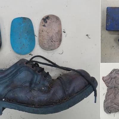 Skull found near beach identified but questions persist