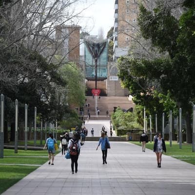Universities best placed to handle the AI challenge