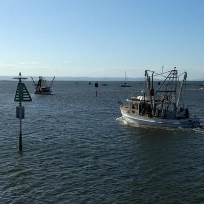 'One ocean': Australia exporting seafood impact