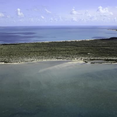 Divers join search for pilot who crashed into the sea