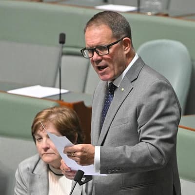 Labor MP stands aside after additional charge laid