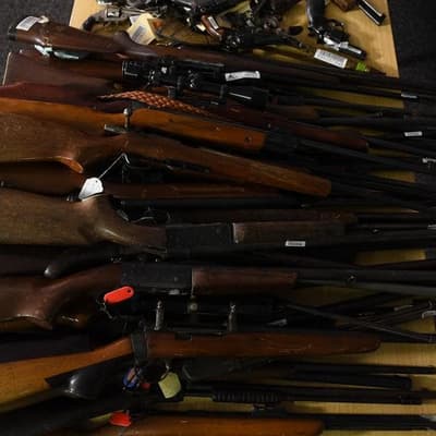 Gun licences limited to citizens in firearms overhaul