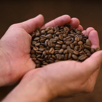 A shot of microplastics a jolt for coffee drinkers