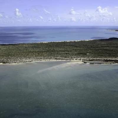 Police believe sea crash pilot did not survive