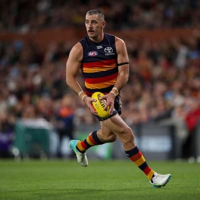 'He's fine': Crows dismiss concern over veteran forward