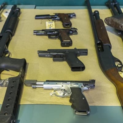 State gun ownership cap on the cards, if numbers align