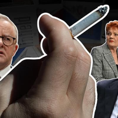 Tobacco laws a 'Christmas present' for crime networks