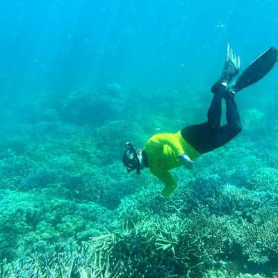 Australia's coral reefs retreat as heatwaves intensify