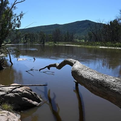 Irrigators defeated in case over lost Murray water